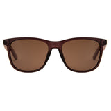 Gafas de sol